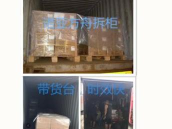 专业之选 香港宠物粮专线，诺亚方舟货代助您无忧通关